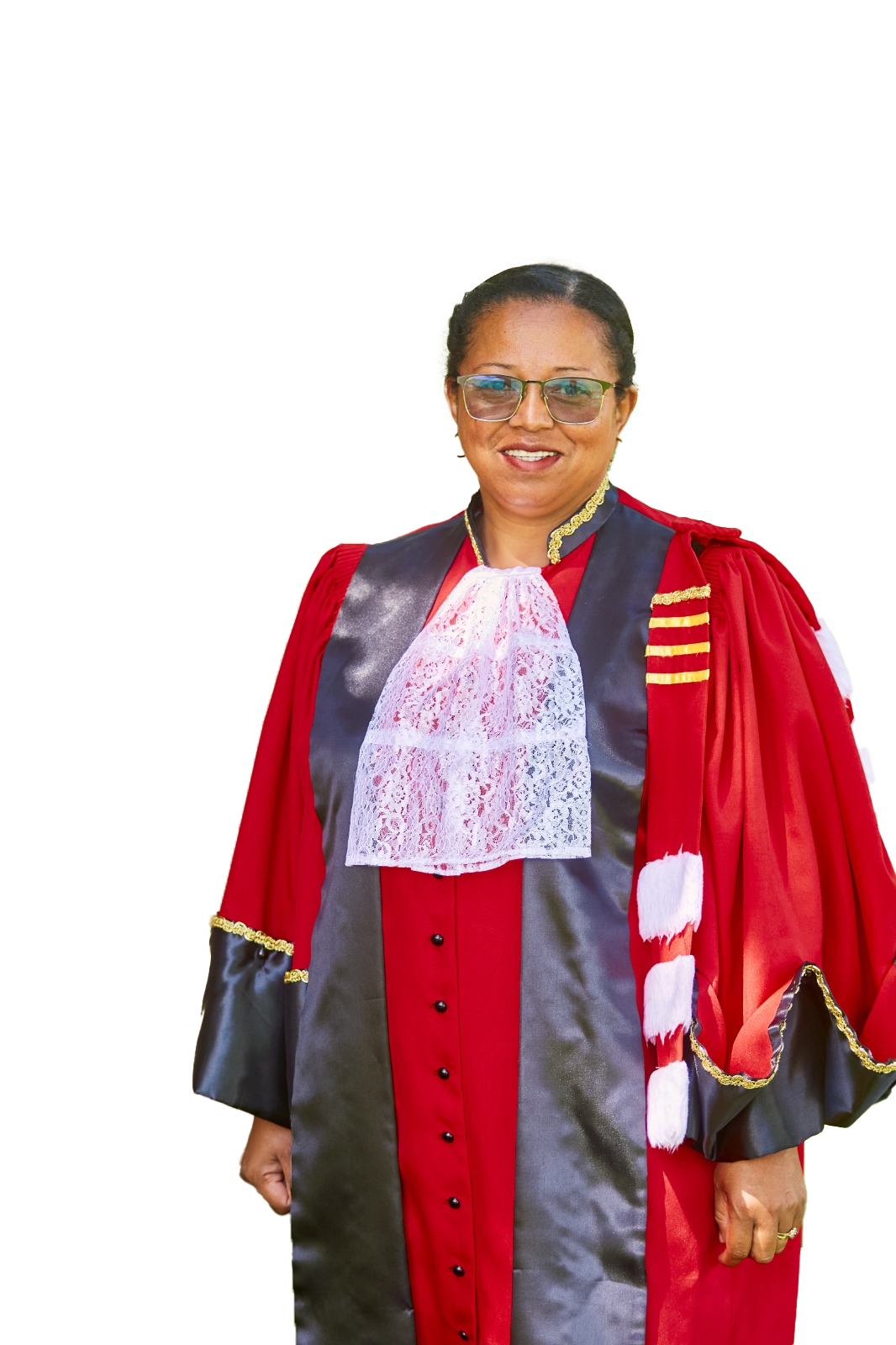 Image du composant Université de Fianarantsoa